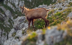 Das Tote Gebirge: Wunderwelt in Österreich