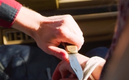 Medical Detectives - Geheimnisse der Gerichtsmedizin