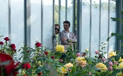 Der Rosengarten von Madame Vernet