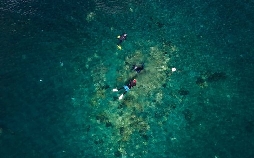 Hannes Jaenicke: Im Einsatz für den Oktopus
