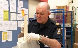 Border Patrol New Zealand - Einsatz an der Grenze