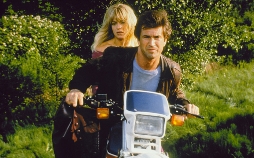 Ein Vogel auf dem Drahtseil