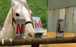 X-Factor: Das Unfassbare