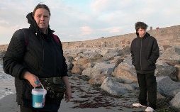 Hartz und herzlich - Tag für Tag Rostock