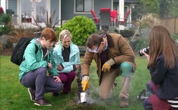 Asteroid: Final Impact