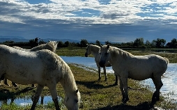 Der italienische Himmelsweg - Vom Meer bis ins Hochgebirge