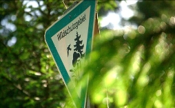 Wälder in Bayern - Faszination eines Lebensraums