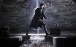 Phantastische Tierwesen 2: Grindelwalds Verbrechen