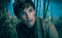 Phantastische Tierwesen: Dumbledores Geheimnisse