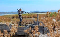 Raue Welten - Wilde Schönheiten