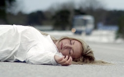 Maria Wern, Kripo Gotland