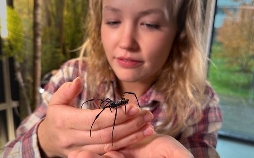 Nina und die wilden Tiere