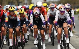 Radsport: In Flandern Fields