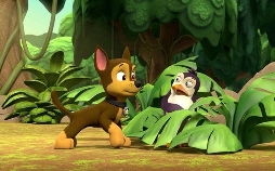 PAW Patrol - Helfer auf vier Pfoten