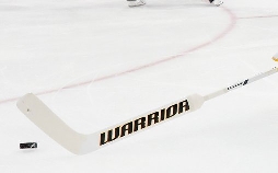 Eishockey - Die IIHF WM