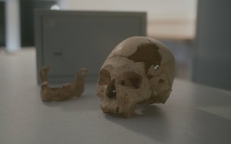 Humans – Geschichte der Menschheit