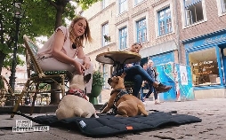 Der Hundeprofi - Rütters Team