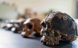 Humans – Geschichte der Menschheit