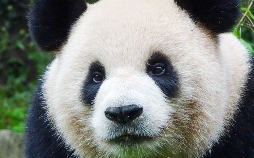 A Year on Planet Earth