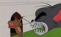 Tom und Jerry