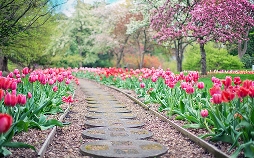 Traumziele: Gartenparadiese im Südwesten