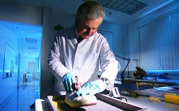 Medical Detectives - Geheimnisse der Gerichtsmedizin