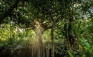 mein ausland | TV-Programm von phoenix