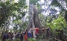 Apotheke Regenwald | TV-Programm von arte