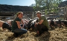 Hofgeschichten - Ackern zwischen Alpen und Ostsee | TV-Programm von NDR
