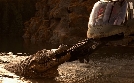Lake Placid | TV-Programm von zdf_neo