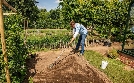 Rasch durch den Garten | TV-Programm von NDR