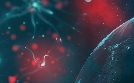 nano | TV-Programm von ARD alpha HD
