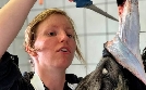 die nordstory | TV-Programm von NDR