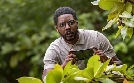 Death in Paradise | TV-Programm von zdf_neo