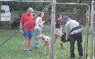 Pitbulls auf Bewährung | TV-Programm von TLC
