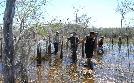 Die Pythonjäger - Einsatz in den Everglades | TV-Programm von DMAX