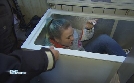 Auf Streife | TV-Programm von SAT.1 Gold