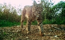 Naturparks in Portugal | TV-Programm von 3sat