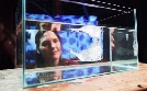 Gefährliche Natur | TV-Programm von phoenix