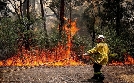Hüter der Natur | TV-Programm von phoenix