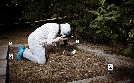 Medical Detectives - Geheimnisse der Gerichtsmedizin | TV-Programm von VOX