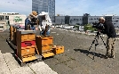Terra X | TV-Programm von ZDF