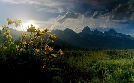Die Rockies  | So 28.06. 20:15 phoenix
