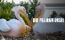 Die Pelikan-Insel - Geheimnis in Russlands Steppe | TV-Programm von arte