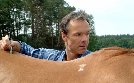 Die Pferdeinsel | TV-Programm von BR