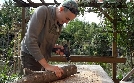 Von Hecke zu Hecke - Bunte Beetgeschichten | TV-Programm von RTLZWEI