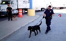 Border Force USA | TV-Programm von N24 Doku
