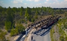 Stahl-Gigant auf Reisen - Schwertransport mit Hindernissen | TV-Programm von N24 Doku