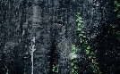 Nur die Harten kommen in den Garten - Hightech-Gartengeräte | TV-Programm von N24 Doku