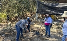 Mexiko: WM im Schatten der Kartelle | TV-Programm von phoenix